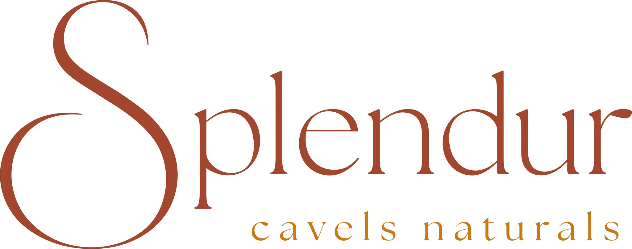 splendur Coiffeursalon Logo