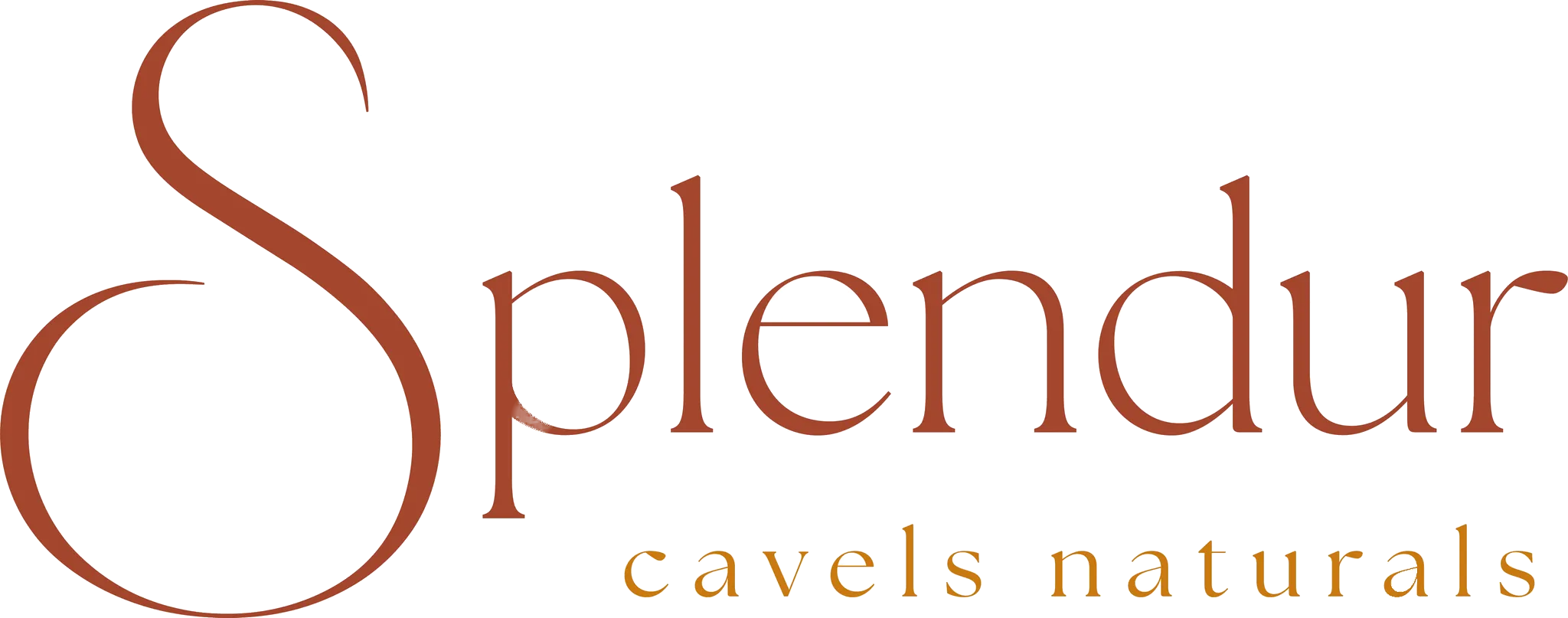 splendur Logo