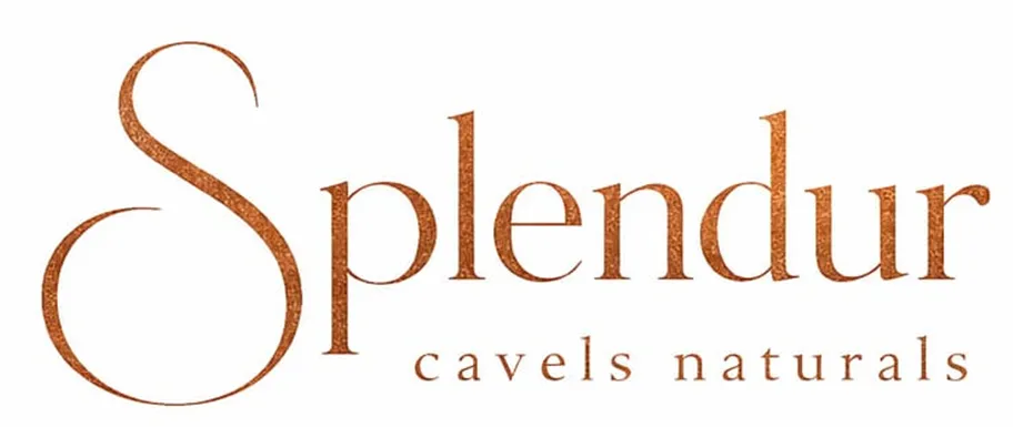 splendur Coiffeursalon Logo